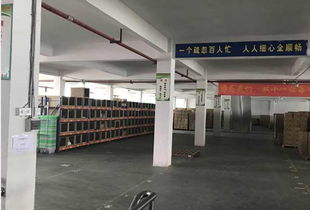 發網廣州廣欣云倉 賦能全國電商的智慧倉儲與配送中心